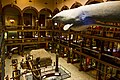 Thumbnail for version as of 00:15, 5 March 2017